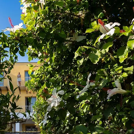 Hotel Luna Del Raccolto